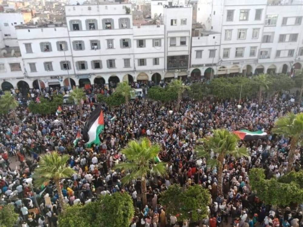 Palestine : un appel ultime à la conscience universelle