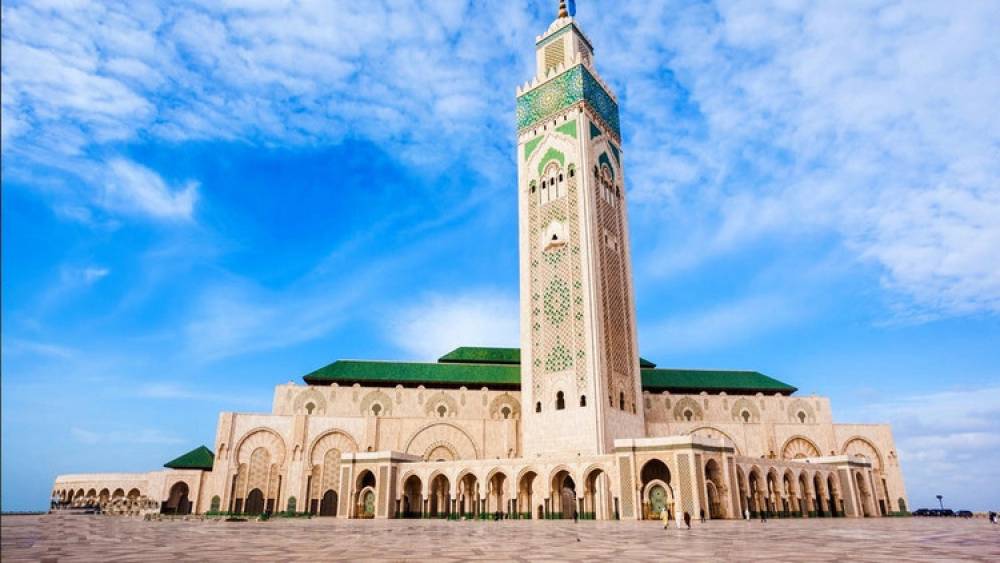 Mosquée Hassan II: pose de balise GPS sur un fauconneau né dans un nichoir artificiel