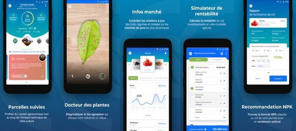 @tmar, une application mobile pour l’agriculture de précision au Maroc