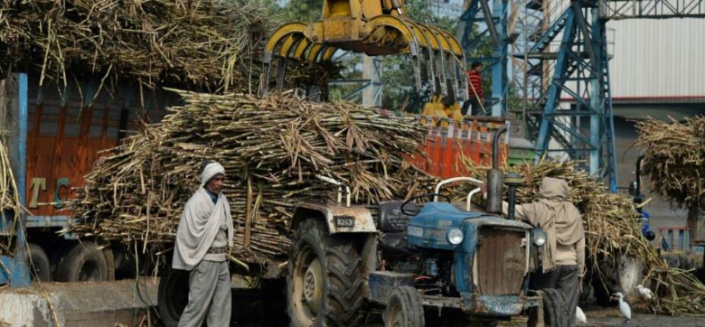 Après le blé, l’Inde restreint l’exportation de sucre