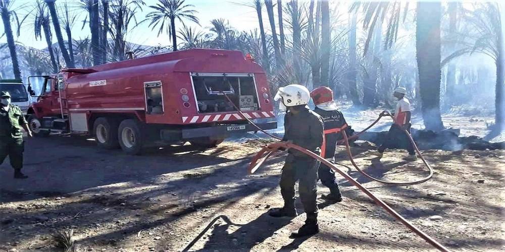 Zagora: terrible incendie dans une palmeraie