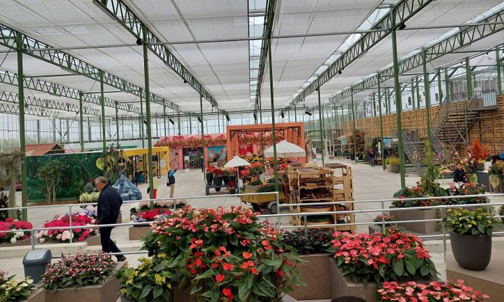 Maroc - Pays-Bas : un centre d'excellence en horticulture bientôt à Agadir