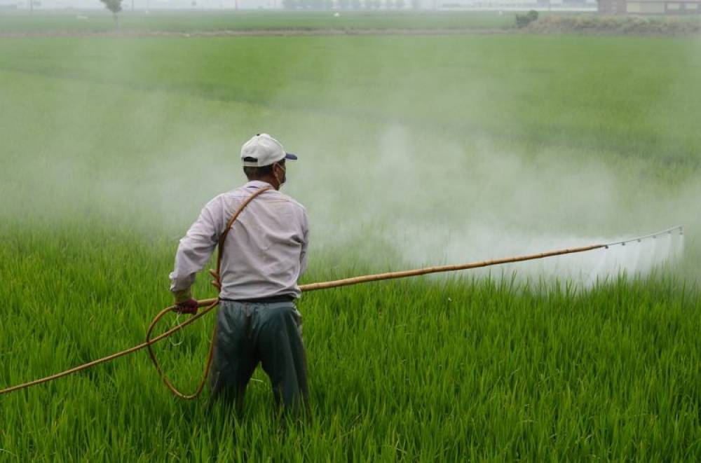 L’ONSSA accorde une attention particulière au contrôle de l’utilisation des pesticides en agriculture