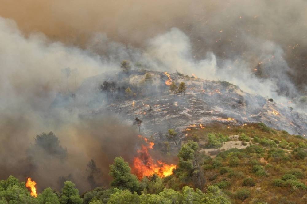 La technologie Big Data utilisée pour prévenir les feux de forêt au Maroc