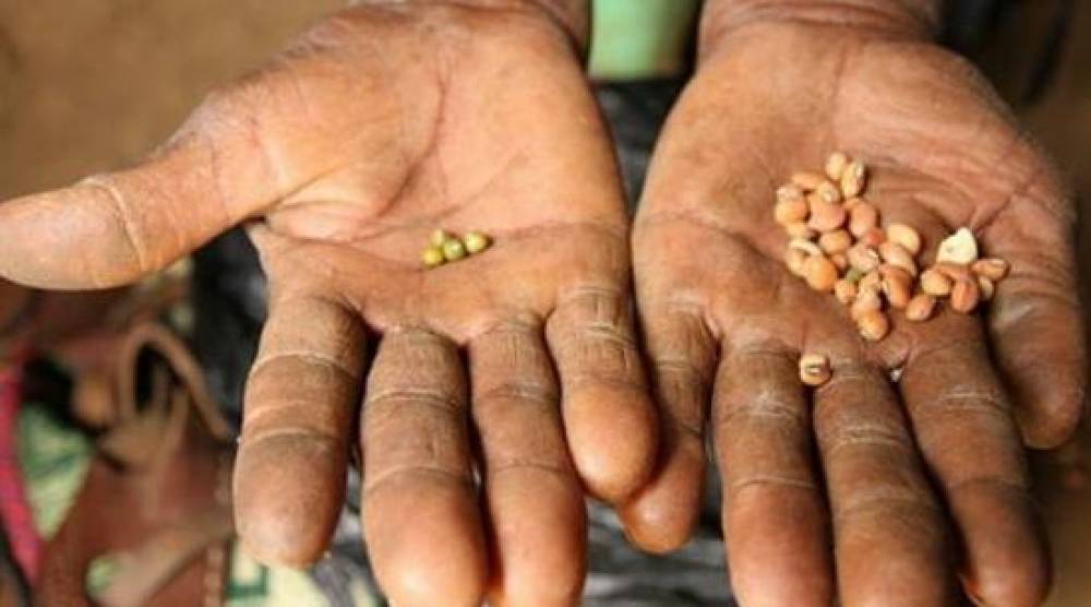 Faim dans le monde: Haïti, le Sahel et le Soudan en alerte maximale, selon l'ONU