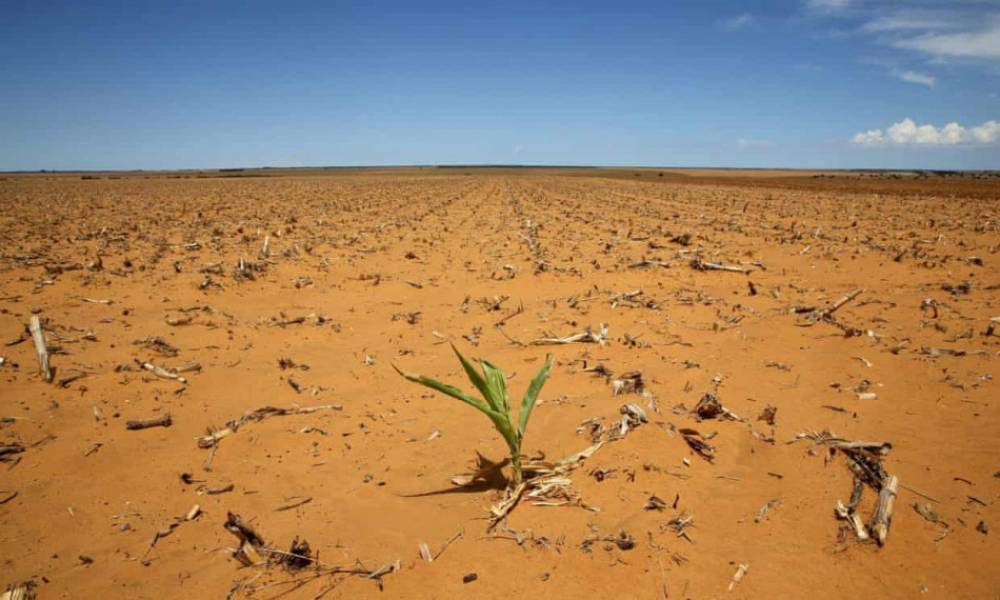 Climat: 2022 est l'année la plus chaude au Maroc depuis plus de 40 ans