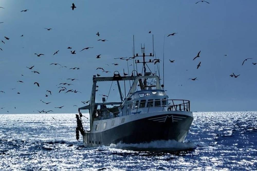 Sebta: Trois bateaux de pêche marocains interceptés par les autorités espagnoles