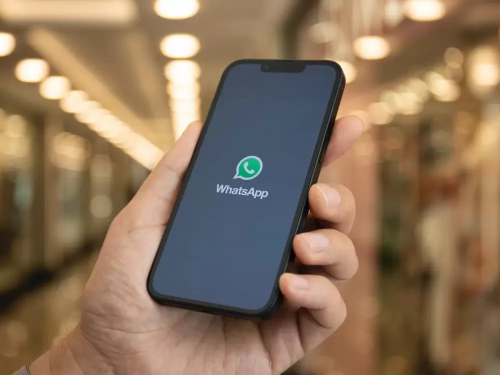 Appels indésirables et spams WhatsApp : bientôt une solution ?