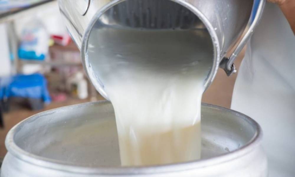 Tunisie : une hausse du prix du lait à la production pour éviter l’effondrement de la filière