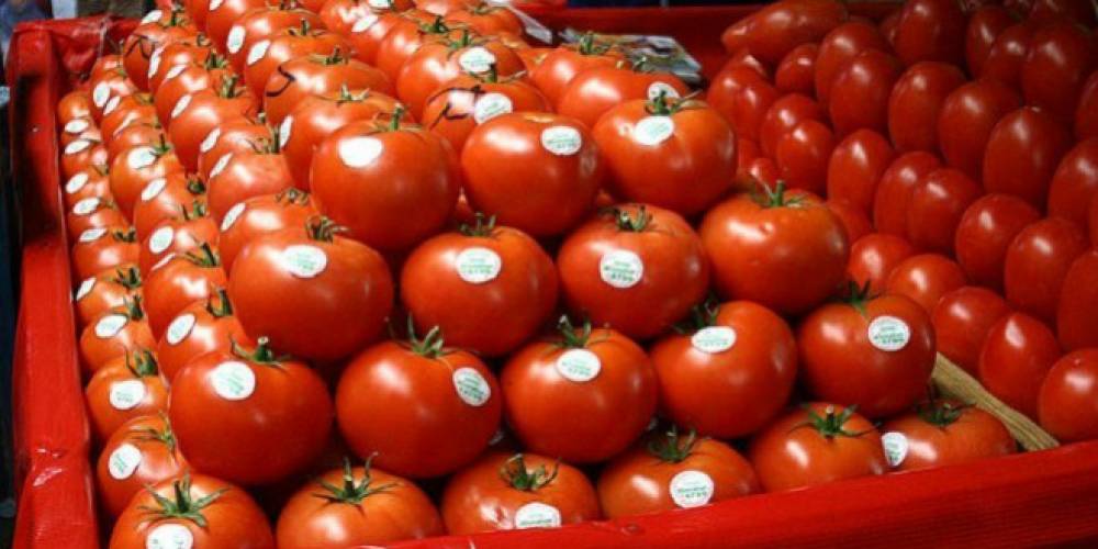 Exportations des tomates: le Maroc dépasse l'Espagne dans le classement mondial