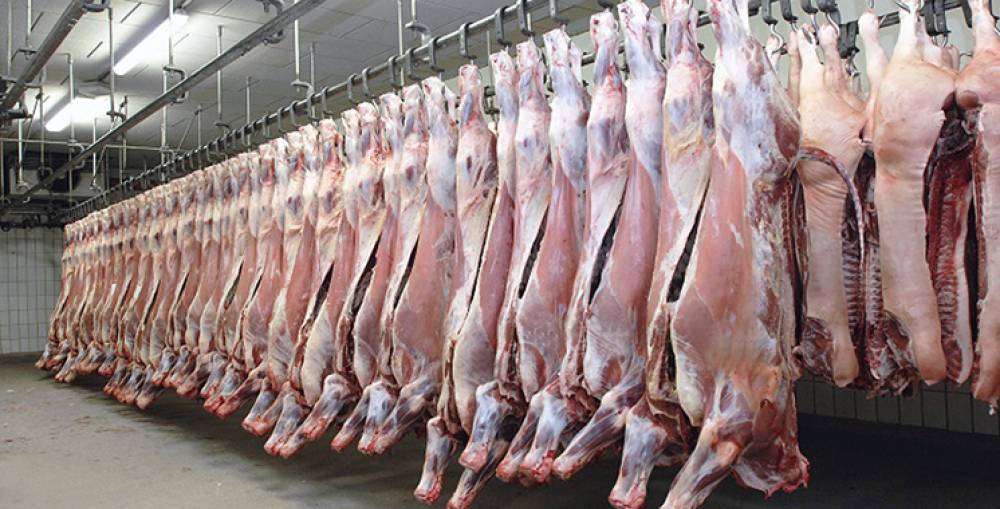 Abdelouafi Laftit : 30 millions de dirhams alloués à la réforme des abattoirs dans plusieurs communes