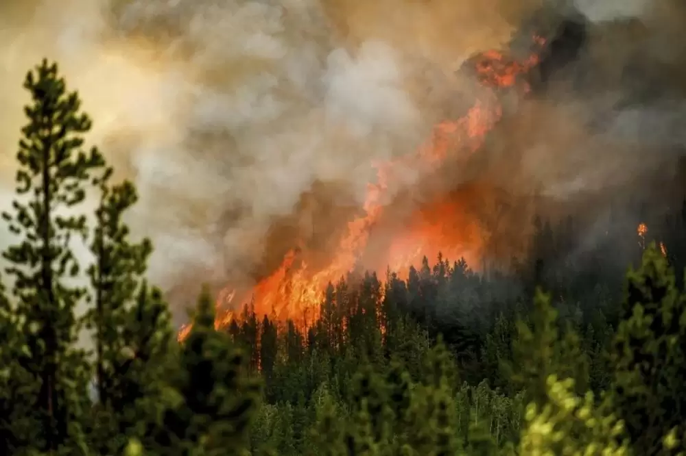 Feux de forêt au Canada: des milliers de personnes évacuées