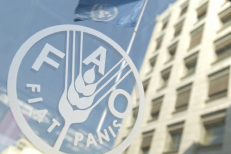 10ème forum mondial de l'Eau à Bali : Le 8ème Grand Prix Mondial Hassan II de l'Eau décerné à la FAO