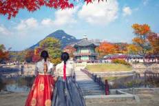 Korea Culture Week: immersion enrichissante dans la culture coréenne