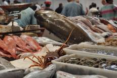Port de Tanger: Les débarquements de pêche reculent de 30% à fin avril (ONP)