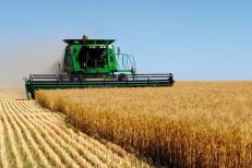 Campagne agricole : La tutelle fait le point