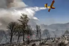 Baisse de 86% des incendies de forêts en 2024 (ANEF)