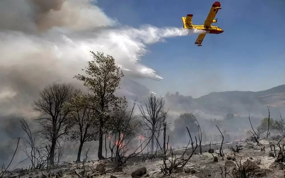 Baisse de 86% des incendies de forêts en 2024 (ANEF)