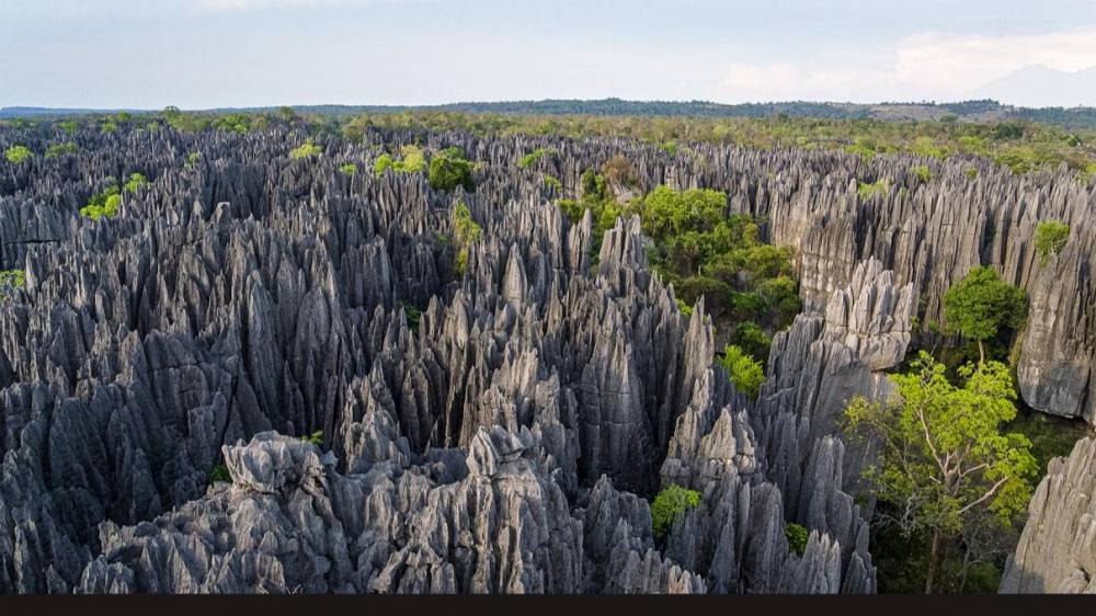 La forêt sèche de l'ouest malgache entre au patrimoine mondial de l'UNESCO