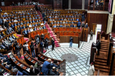 Subventions à l’importation des viandes rouges: l’opposition prépare une motion de censure contre le gouvernement