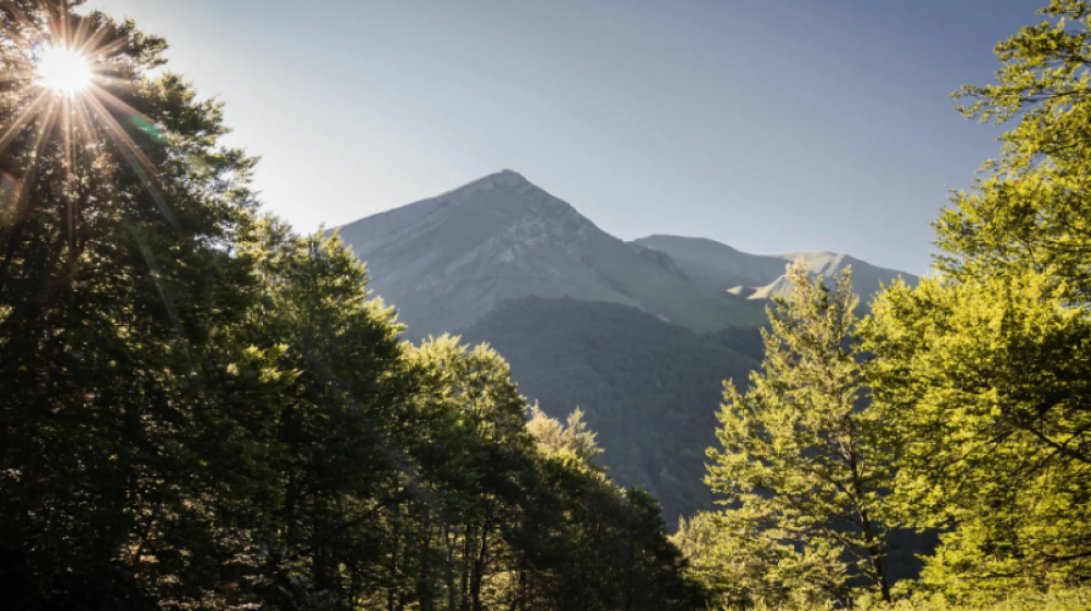 Nador : Un ambitieux programme de plantation de plus de 7.000 ha d’arbres à l’horizon 2030