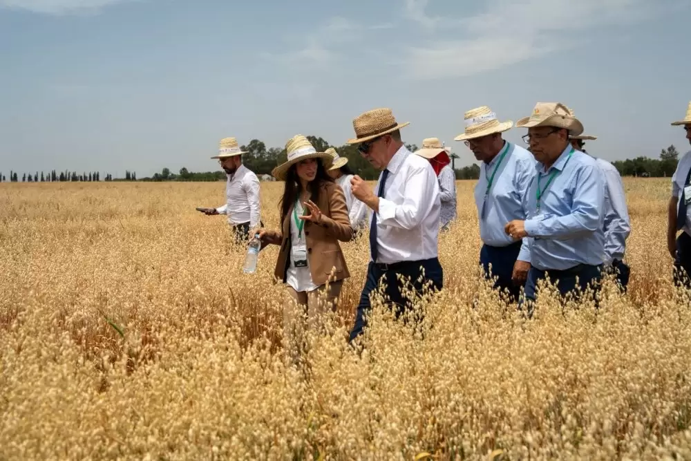 Amélioration génétique, irrigation... L’INRA et l’ICARDA dévoilent leurs innovations agricoles