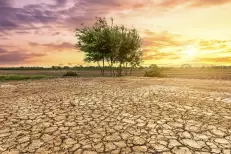 OMM: Le changement climatique fait des ravages de plus en plus violents en Afrique