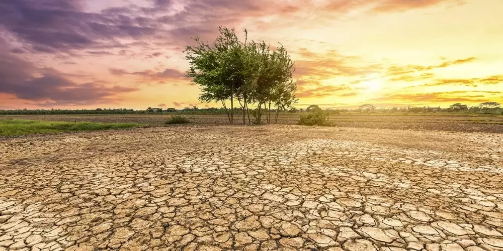 OMM: Le changement climatique fait des ravages de plus en plus violents en Afrique