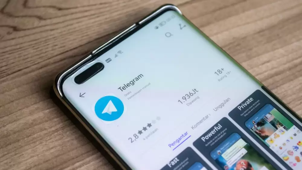 Telegram : un vaste coup de filet contre un milieu pédocriminels en France