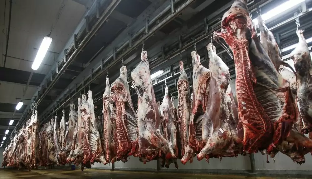 Aïd Al-Adha: les abattoirs de Casablanca fonctionneront normalement (Casa-Prestations)