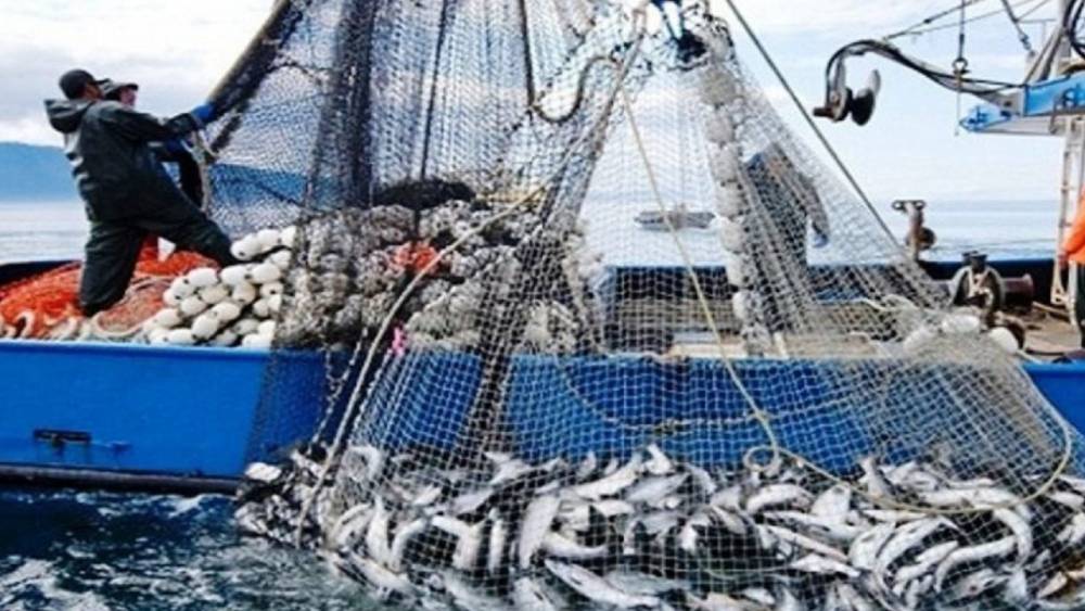 Pêche : hausse de la valeur des produits commercialisés de 2% à fin avril (ONP)