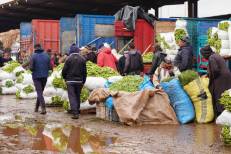 Prix alimentaires : le gouvernement cible les dysfonctionnements des marchés de gros