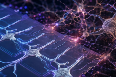 Un cerveau vivant contrôlé par des neurones artificiels ? Cette percée ouvre une voie inédite