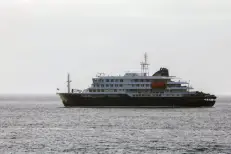 Hantavirus : un passager d’un navire de croisière infecté par une souche transmissible entre humains