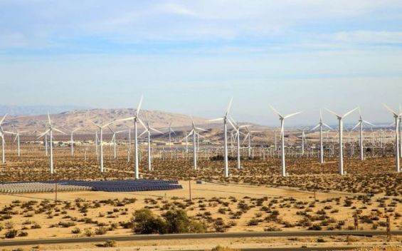 Eoliennes au Sahara : Siemens Gamesa à nouveau dans le viseur du Front Polisario