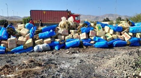 Destruction d’environ 12 tonnes de drogue à Al Hoceima