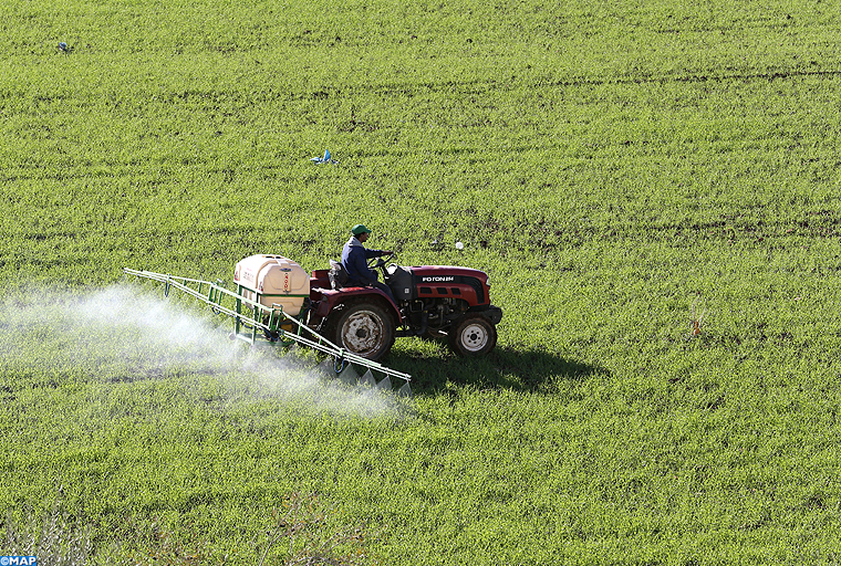 Fonds de développement agricole : Des subventions de 4,2 Mds de DH en 2021