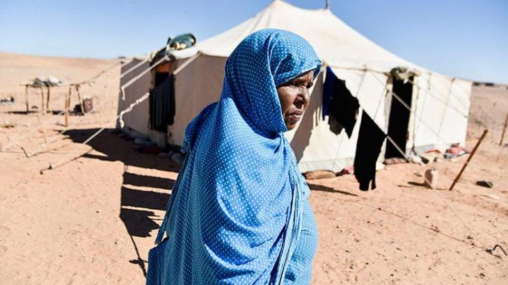 Polisario/Guerguerat: Des ONG américaines dénoncent l’utilisation d’enfants et de femmes comme boucliers humains
