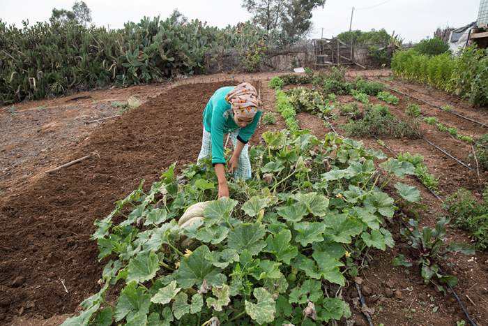 Les petits agriculteurs, grands oubliés du financement climatique, selon un rapport