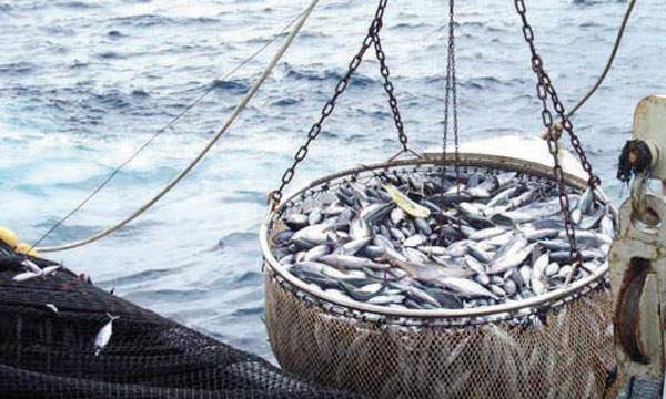 Pêche maritime : signature d’un accord de coopération Maroc/Russie