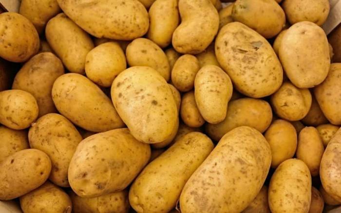 Pomme de terre : le Maroc passe d’exportateur à importateur