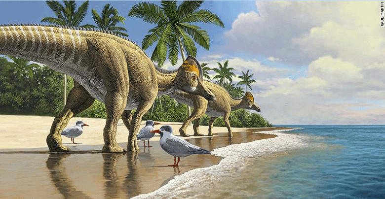 Un dinosaure américain de 66 millions d’années retrouvé au Maroc