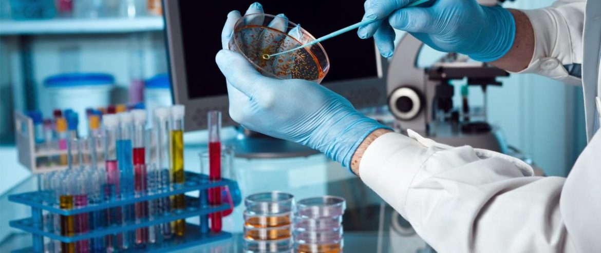 La recherche biomédicale au Maroc: Une avancée significative dans le secteur de la santé