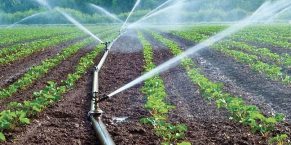 Irrigation agricole : près de 32% des superficies irriguées dotées d’équipement d’économie de consommation