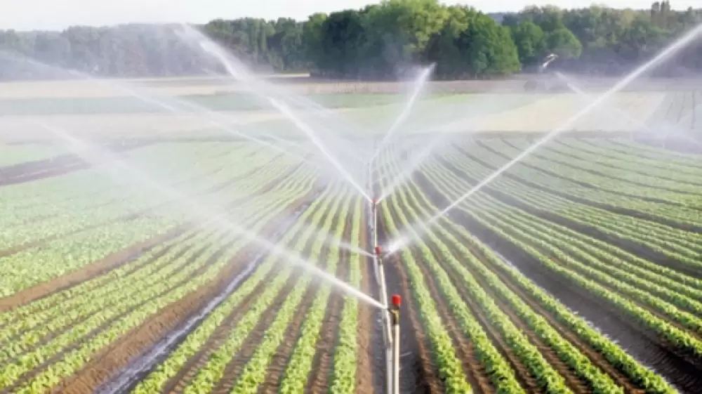 Agriculture: des périmètres de sauvegarde pour mettre fin à la surexploitation des nappes phréatiques