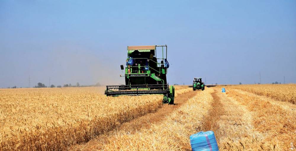 En dépit du retard pluviométrique : La campagne agricole peut toujours être sauvée