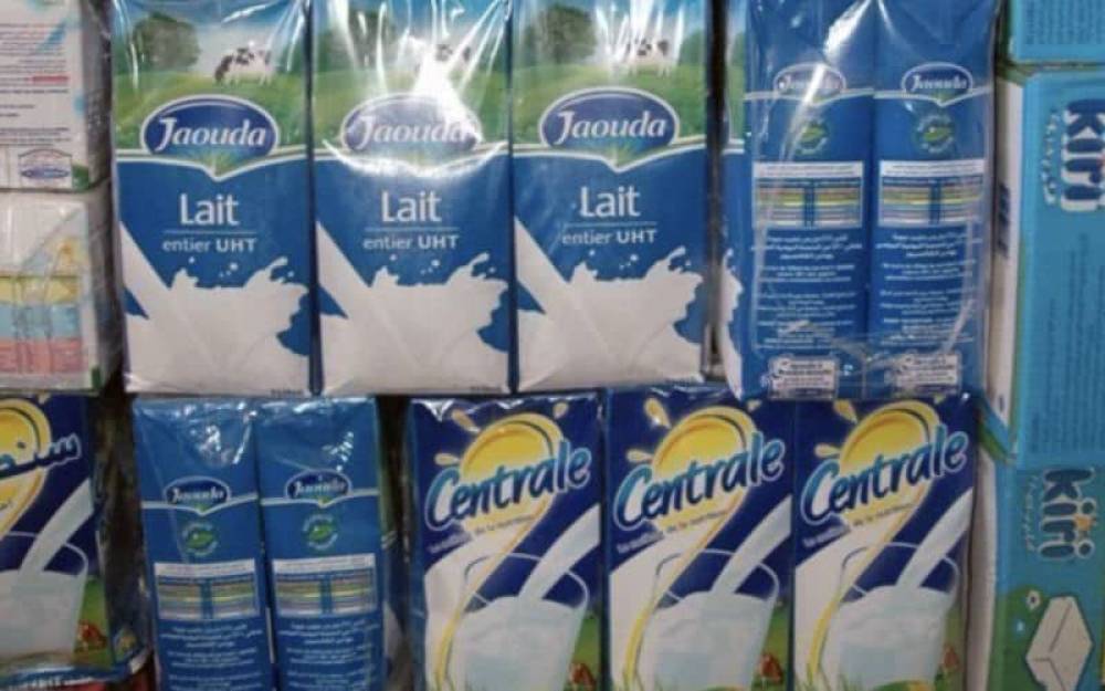 Pénurie de lait : les éleveurs marocains lancent un cri de détresse