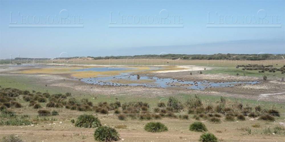 Zones humides au Maroc : vers l'inscription de 10 nouveaux Sites Ramsar