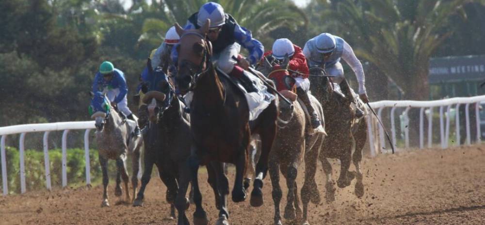 Le cheval « RYSK TOUT » remporte le Grand Prix Sa Majesté le Roi Mohammed VI du Pur-sang Arabe