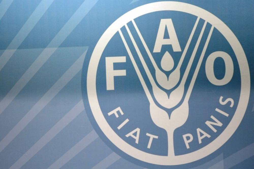 Les prix mondiaux des produits alimentaires stables en octobre (FAO)